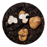 SKYPEAT  1 23278 种植松露的种植土