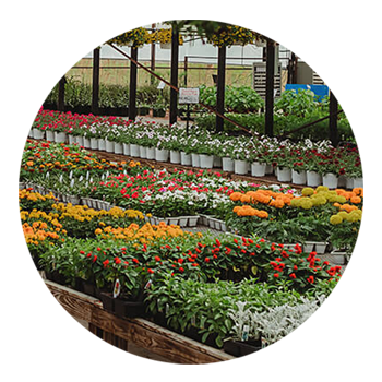 SKYPEAT 3 23003 阳台花种植土