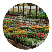 SKYPEAT 3 23003 阳台花种植土