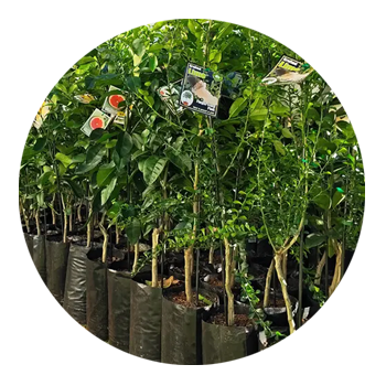 SKYPEAT 3  23217  树木和灌木通用种植土