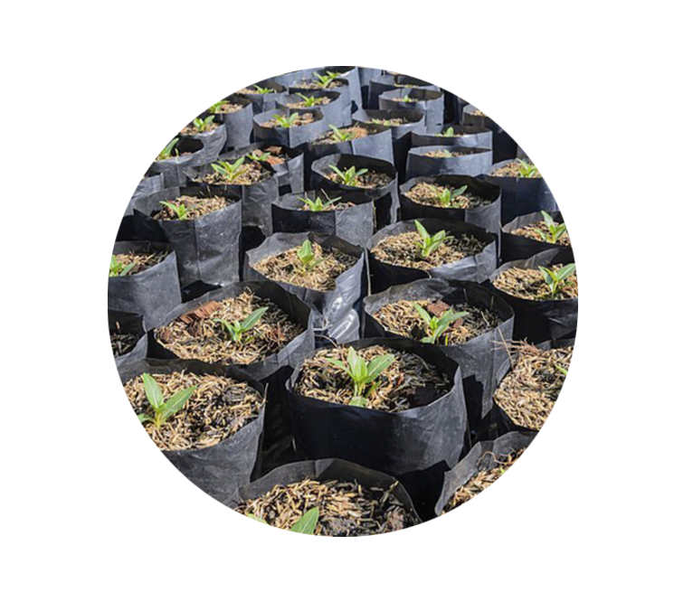 SKYPEAT S 23400 大容器的 盆栽植物和观赏植物 种植土