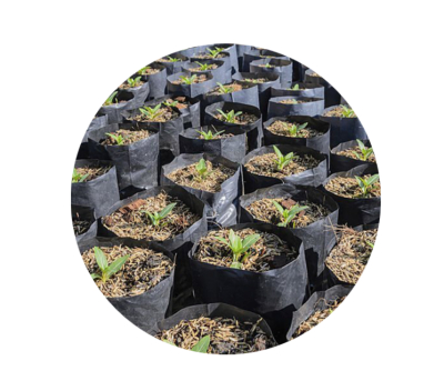 SKYPEAT S 23400 大容器的 盆栽植物和观赏植物 种植土